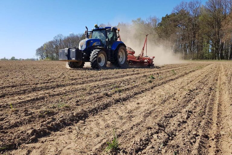 Feldarbeit Mais