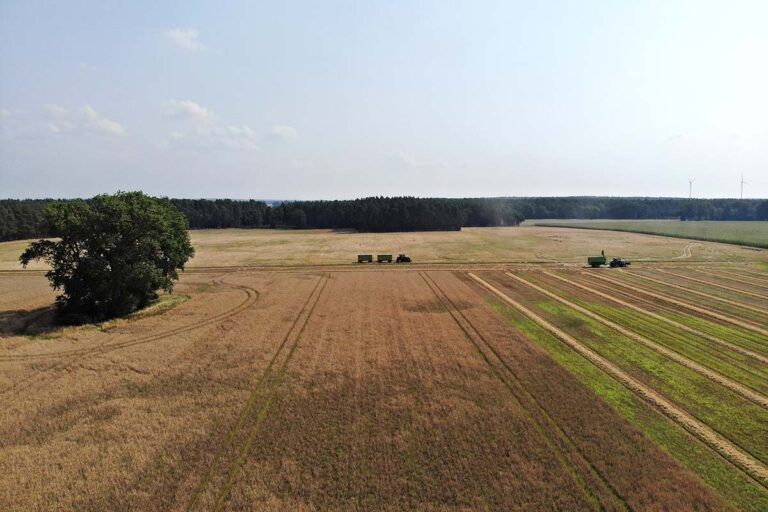 Luftaufnahme der Strohernte der Agrargenossenschaft Pirow eG